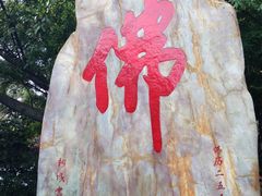 -南国桃园旅游度假区