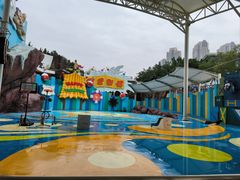 -海合安成都极地海洋公园