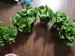 -秦美花卉(天朗·莱茵小城2期店)