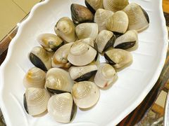 卜卜花甲白贝-丰尔粥食·粥底火锅(大良总店)