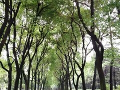 -宋庆龄陵园