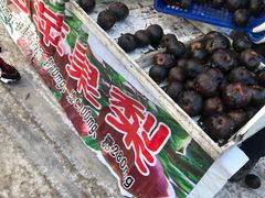 -蒲河大集
