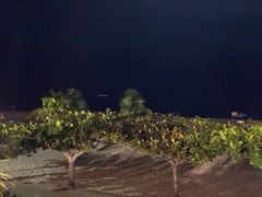 -渔家火锅·海鲜自助餐·演艺(亚龙湾天域酒店)