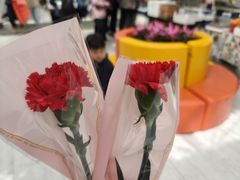 -上海鲜花港