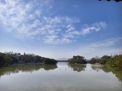 -江心屿景区