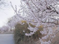 -北京西山国家森林公园