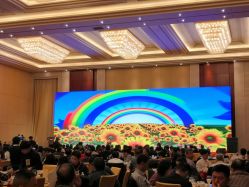 -万丽天津宾馆宴会厅