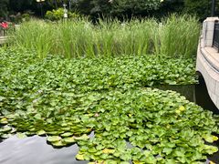 -大连植物园