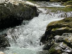 -关门山森林公园