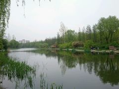 -新江湾城公园