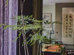 -王府茶宴(大观园总店)
