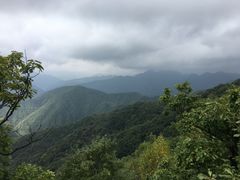 -牛背梁国家森林公园
