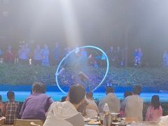 -渔家火锅·海鲜自助餐·演艺(亚龙湾天域酒店)