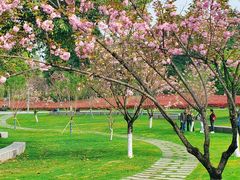 -重庆中央公园(渝北区)