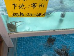 -品鲜村农家菜·阳澄湖大闸蟹(总店)