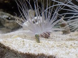 -Zoolung Zoolung动物主题公园(海信广场店)