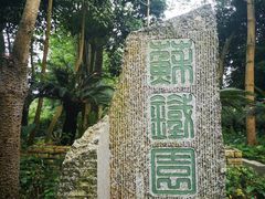 -广东茂名森林公园