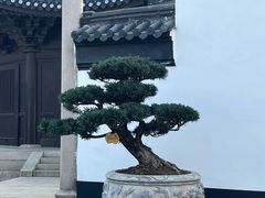 -安方塔