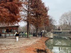 -上海长兴岛郊野公园