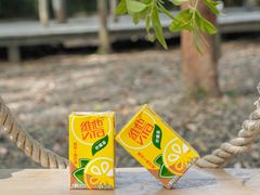 -桉树林A coffee 森林餐厅(三圣乡店)