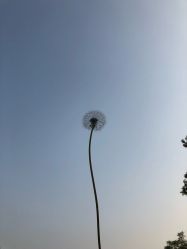 -大望京儿童游乐场