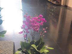 -黔蘑菇四季餐厅(观山湖店)