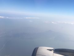 -龙城大药房