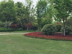 -杭州城北体育公园