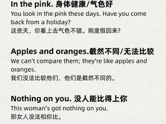 -菠萝国际教育专注Alevel·IGCSE·IB·AP·托福雅思培训辅导(静安校区)