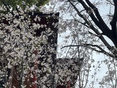 -龙华寺