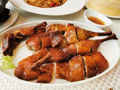 -喜粤8号(四海唐人街店)