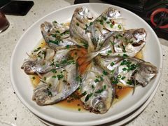 清蒸小鲳鱼-阿莉餐厅(枣阳路店)