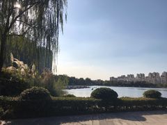 -南翔镇银翔湖公园