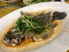 -勒南公舍(龙江店)