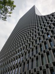 -苏州希尔顿酒店-宴会厅