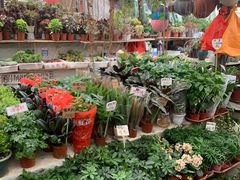 -秦美花卉(天朗·莱茵小城2期店)