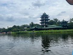 -桂湖森林公园