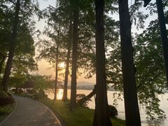 -浙江西子宾馆·瑶园咖啡厅