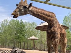 -大连森林动物园