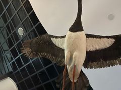 -上海长江河口科技馆