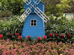 -南宫五洲植物乐园