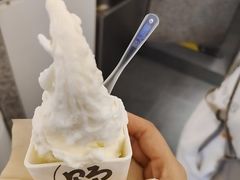 -野人先生Gelato(上海长宁龙之梦店)