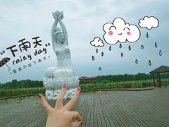 -荷塘月色湿地公园·向阳花洲