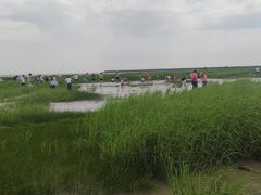 -奉贤海滩