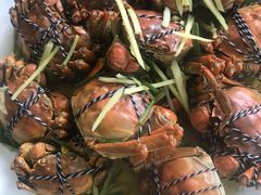 -谭家菜农夫山庄