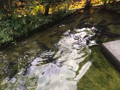 -大理老字号·舟渔的鱼野生菌海景餐厅(双廊店)