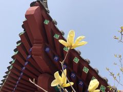 -张家湾公园