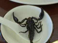 -金百门·顺德海鲜酒家(陈村店)
