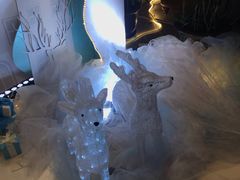 -君来湖滨饭店·玫瑰园