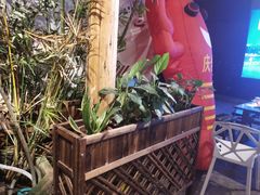 -庆合府重庆大排档(紫都城店)